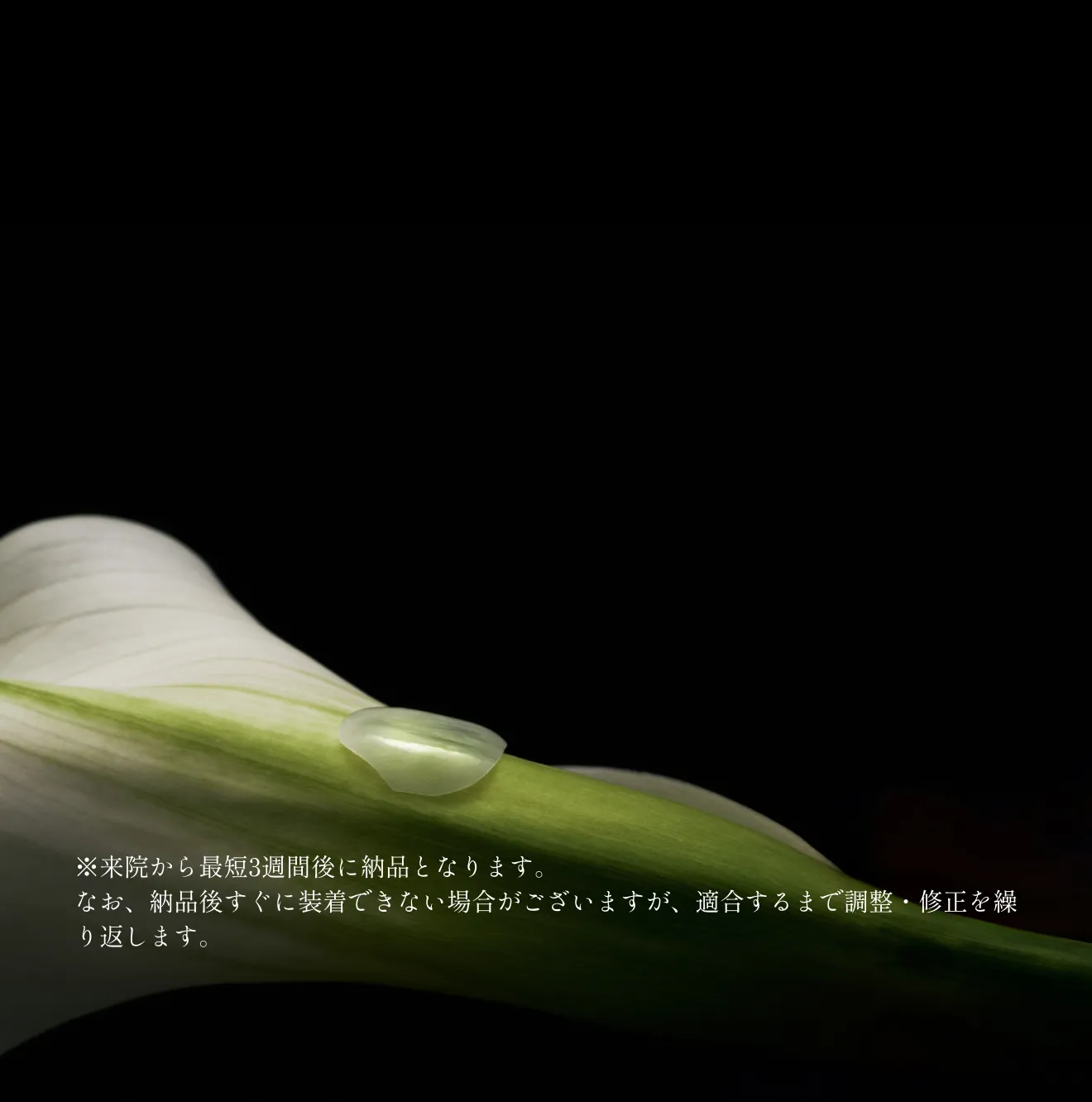 背景画像